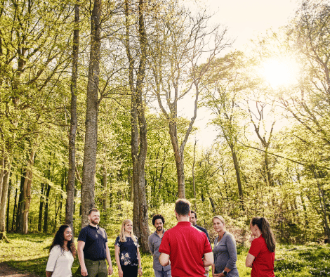 Photo of group of individuals doing group work outdoors in a wooded area