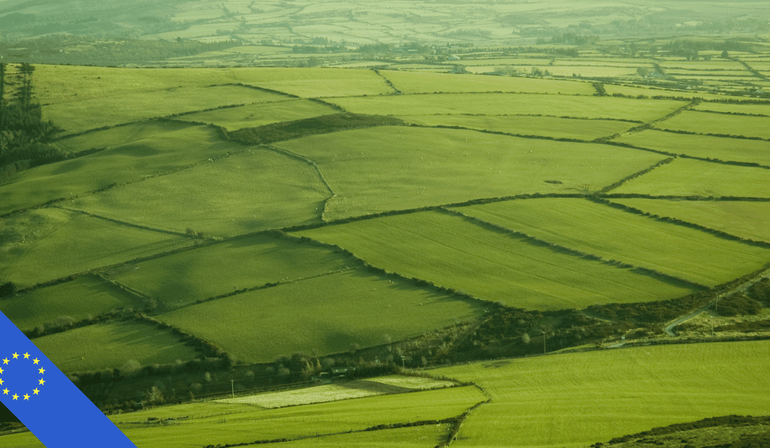 EU Green Deal
