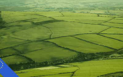EU Green Deal